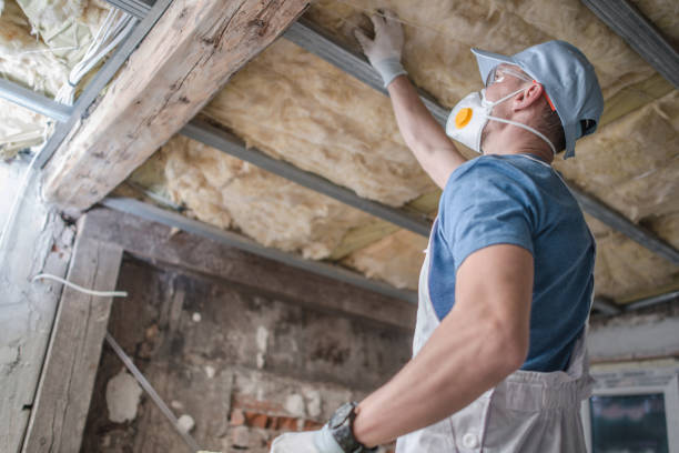 Best Insulation Removal  in Slatington, PA